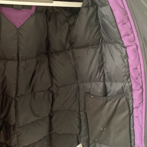 Purple Canada Goose - Picture 2 of 8